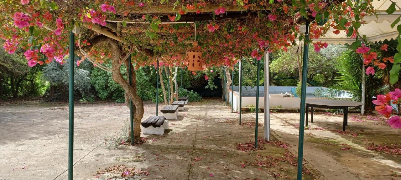 דירות טאווירה Quinta Velha 22 מראה חיצוני תמונה
